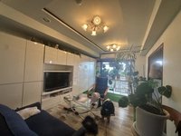 同仕様写真（リビング）