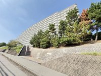 その他現地
