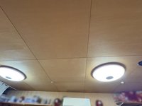その他内観