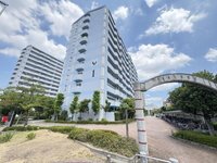 その他現地