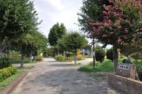 その他現地