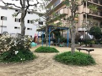 その他現地