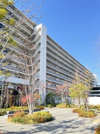 その他現地